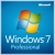 Windows 7 Professional