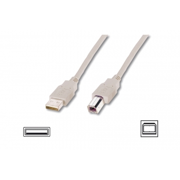 Cable USB2,0 A m / B m dl.5,0m- beige ASSMANN AK-300105-050-E