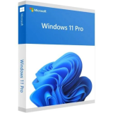 Microsoft® Windows 11 Pro, 64-bit, Engleza, Retail, USB HAV-00163