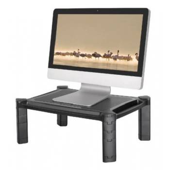 NewStar Acrylic Monitor Raiser NSMONITOR20
