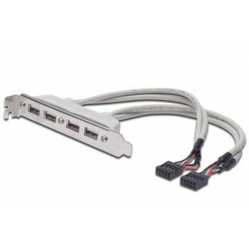 Slot Bracket Cable USB 2.0 HighSpeed Type 2xIDC (5pin)/4xUSB A M/F grey 0,25m
