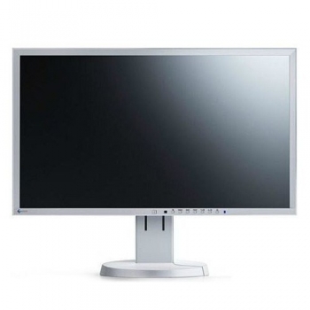 Monitor LED IPS Eizo 24" EV2436WFS-GY 1920x1200 VGA DisplayPort DVI-D USB Grey