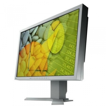 Monitor LCD Eizo 22" S2202WHA-GY 1680x1050 VGA DVI-D Grey