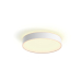 Philips HUE ENRAVE M CEILING LAMP WHITE 000008718696176436