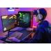 MONITOR 24.5 PHILIPS 25M2N3200W/00  