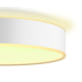 Philips HUE ENRAVE XL CEILING LAMP WHITE 000008718696176474