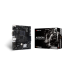 MB BIOSTAR A520MHP 6.0 AM4 DDR4
