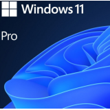 Microsoft SW WIN PRO N 11 64-BIT ALL LNG PK LIC ONLINE DWNLD NR MS FWC-03370 