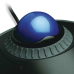 Kit Kensington ORBIT TRACKBALL/W/ SCROLL RING K72337EU