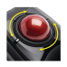 Kensington EXPERTMOUSE WIRELESS TRACKBALL/IN K72359WW