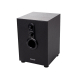 Boxe 2.1 Spacer 11W (2x3W + 5W), control volum, bass, black SPB-2200
