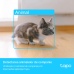 Camera analogica TP-LINK TAPO C225 WIFCAM PAN/TILT HOME SECURITY  