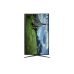 Monitor LG 31.2