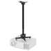 Neomounts NM Projector Ceiling Mount 74-114cm CL25-550BL1
