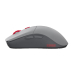 MOUSE Glorious PC Gaming Race , GLO-MS-P1W-CT-FORGE (timbru verde 0.18 lei) 