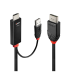 Cablu Lindy 1m HDMI la DisplayPort LY-41498 Cablu Lindy 1m HDMI la DisplayPort LY-41498