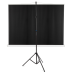 ECRAN proiectie Acer MC.JBG11.00F ECRAN proiectie Acer MC.JBG11.00F