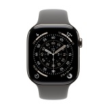 46MM STONE GRAY/SPORT BAND - M/L