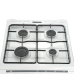 ARAGAZ HEINNER HFSC-V50WH 