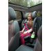 Scaun auto U-Grow,isofix,76-150 cm,gri UG-VTN40GR