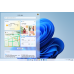 Microsoft WIN 11 HOME FPP P2 32-bit/64-bit Eng US HAJ-00090