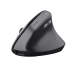 Mouse ergonomic fara fir Trust Bayo II n