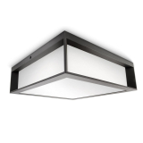 Philips SKIES WALL LANTERN ANTHRACITE 2X42W 230V 000008719514385320