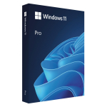 Microsoft Windows 11 Pro, 64-bit, Engleza, Retail, USB HAV-00163 