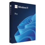 Microsoft Windows 11 Pro, 64-bit, Engleza, Retail, USB HAV-00163 