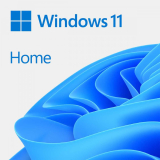 Microsoft WIN FPP HOME 11 32-bit/64-bit ESD ALL LN KW9-00664