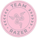 Razer Team floor rug, roz