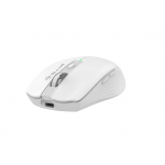 Mouse wireless Tellur Silent Click, alb TLL491221