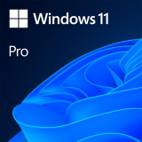 Microsoft LIC OEM WIN 11 PRO 64BIT RO FQC-10546