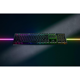 Tastatura Razer DeathStalker V2 Pro Red-S RZ03-04360100-R3M1