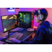 MONITOR 24.5 PHILIPS 25M2N3200W/00  
