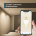 TP-LINK TAPO L610 SMART LIGHT BULB TP-LINK TAPO L610 SMART LIGHT BULB