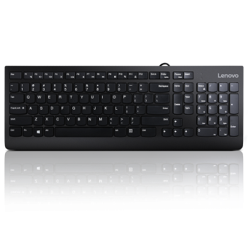 Tastatura Lenovo 300 USB Keyboard - US English GX30M39655