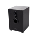Boxe 2.1 Spacer 11W (2x3W + 5W), control volum, bass, black SPB-2200