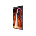 Monitor Ecran profesional Samsung OM55N-D Dual LH55OMNDSGBXEN