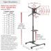 Stand TV Barkan 13-83'' 50kg SW411H