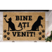 Heinner COVORAS INTRARE 60X40 CM, PAWS HR-MTC-FAMPW