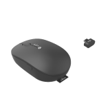 Fujitsu Wireless Mouse WI860 BTC S26381-K474-L100