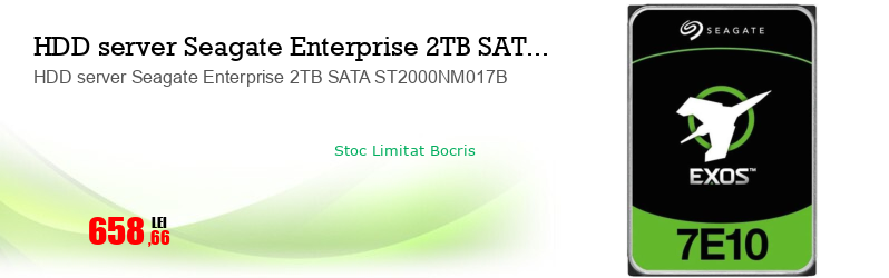 HDD server Seagate Enterprise 2TB SATA ST2000NM017B