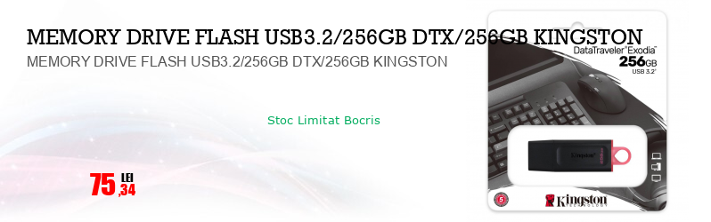MEMORY DRIVE FLASH USB3.2/256GB DTX/256GB KINGSTON