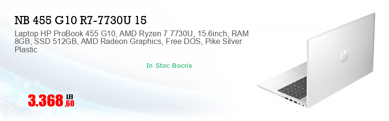 Laptop HP ProBook 455 G10, AMD Ryzen 7 7730U, 15.6inch, RAM 8GB, SSD 512GB, AMD Radeon Graphics, Free DOS, Pike Silver Plastic
