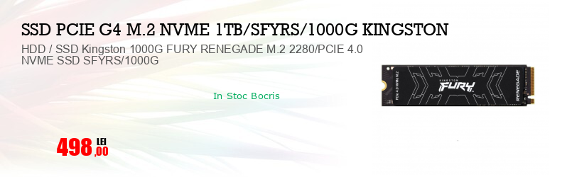 HDD / SSD Kingston 1000G FURY RENEGADE M.2 2280/PCIE 4.0 NVME SSD SFYRS/1000G