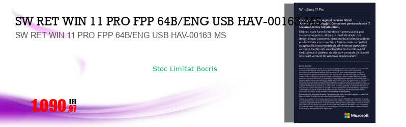 SW RET WIN 11 PRO FPP 64B/ENG USB HAV-00163 MS