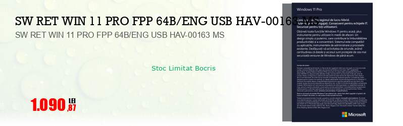 SW RET WIN 11 PRO FPP 64B/ENG USB HAV-00163 MS