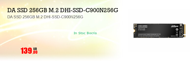 DA SSD 256GB M.2 DHI-SSD-C900N256G