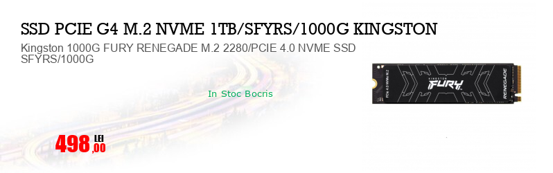 Kingston 1000G FURY RENEGADE M.2 2280/PCIE 4.0 NVME SSD SFYRS/1000G